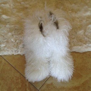 UGG Fluff Momma Boots size 12